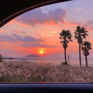 日逼高清视频看看
