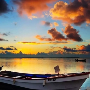 日逼高清视频看看
