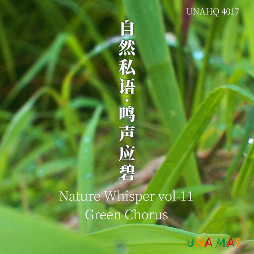 日逼高清视频看看
